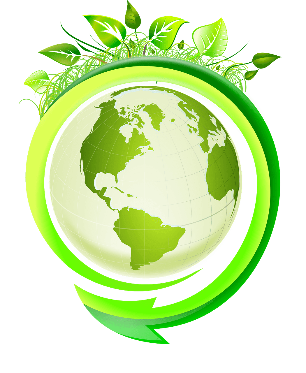 Ekologie a udržitelnost